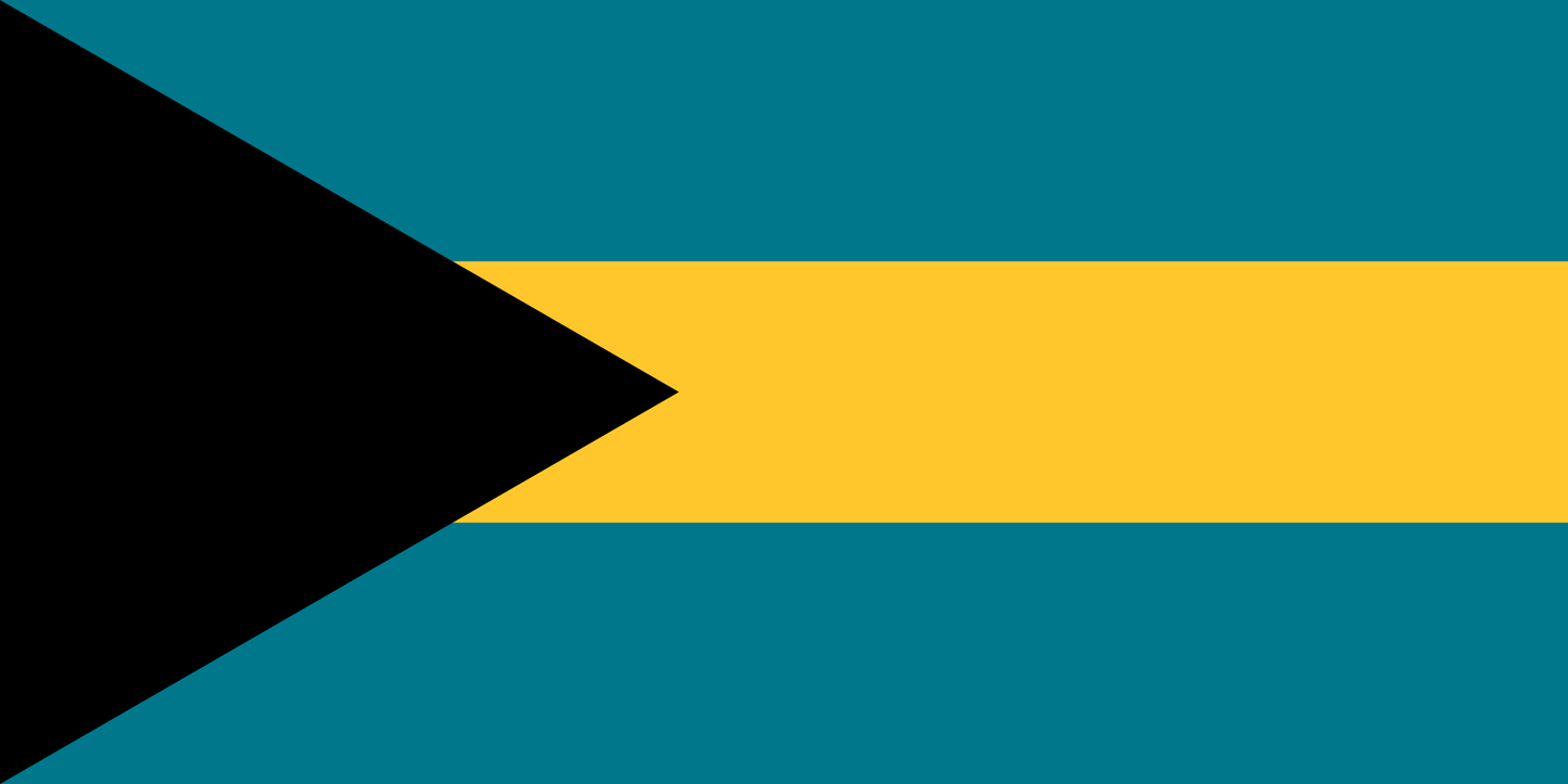 Bahamas International Business Company (IBC)