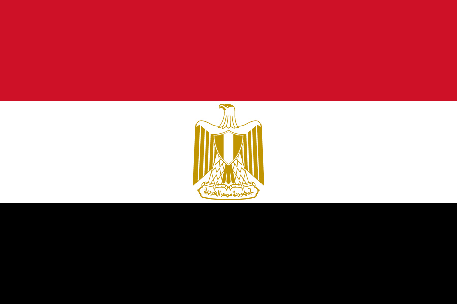 Egypt Limited Liability Company (LLC)