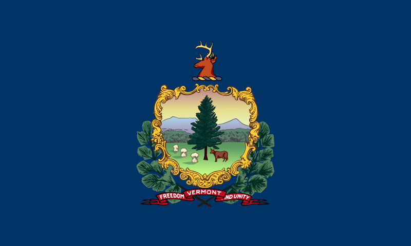 Vermont LLC