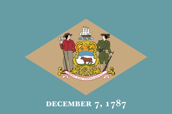 Delaware LLC