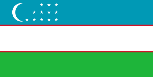 Uzbekistan Limited Liability Company