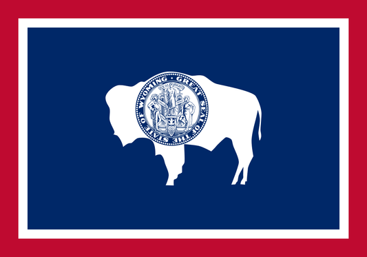 Wyoming LLC