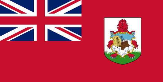 Bermuda LLC