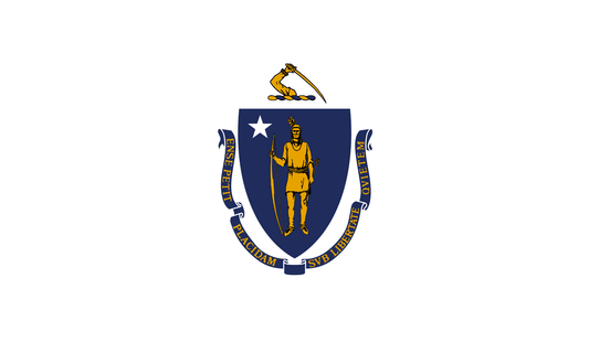 Massachusetts LLC