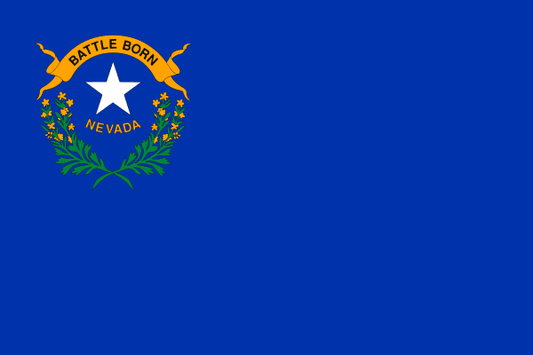 Nevada Corp