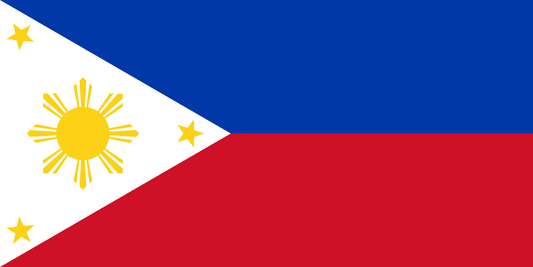 Philippines Domestic Corporation
