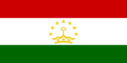 Tajikistan Limited Liability Company