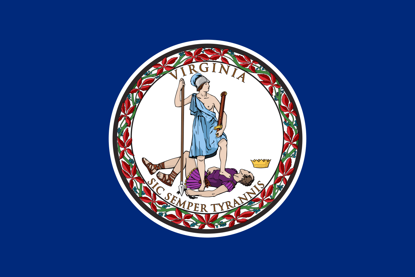 Virginia LLC