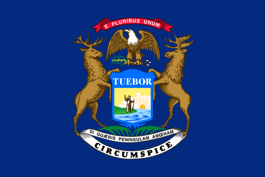 Michigan Corp