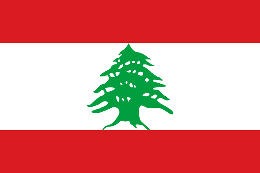 Lebanon Offshore Company