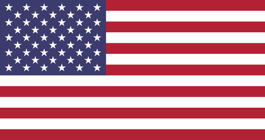 United States S Corporation