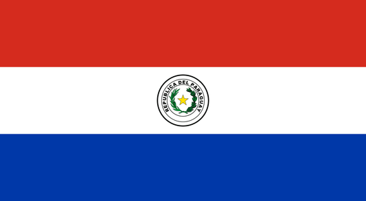 Paraguay SA (Sociedad Anónima)