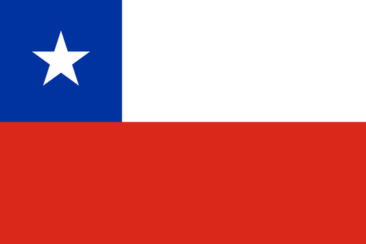 Chile Sociedad por Acciones (SpA)