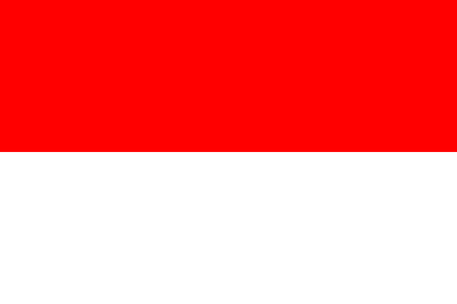 Indonesia PT PMA (Foreign Direct Investment Company)