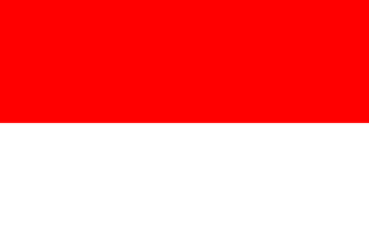 Indonesia PT PMA (Foreign Direct Investment Company)