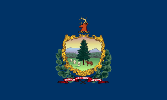 Vermont LLC